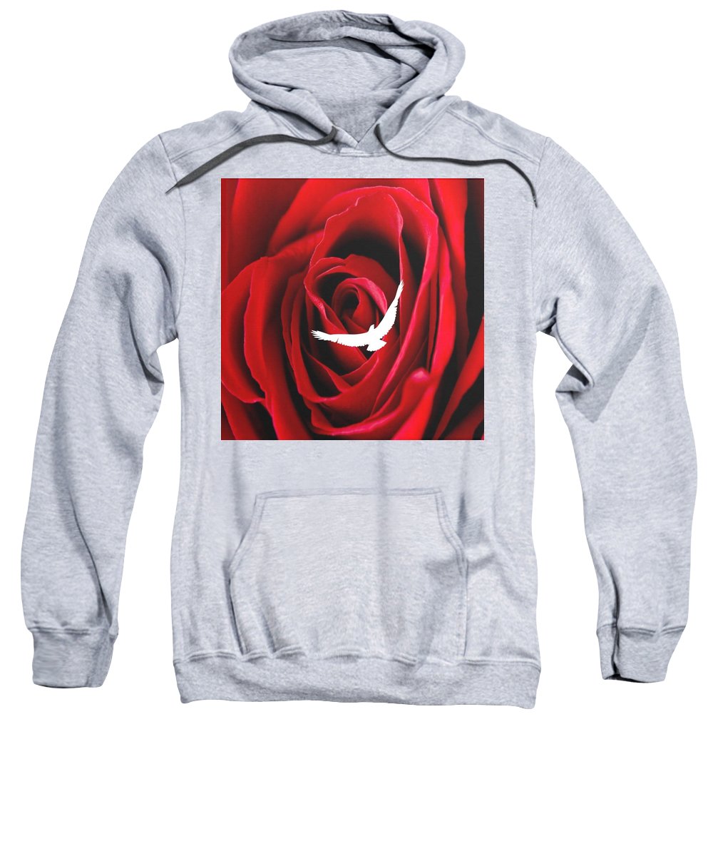 Miłość - Bluza