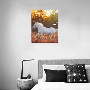 Wydruk na płótnie 16" x 20"
