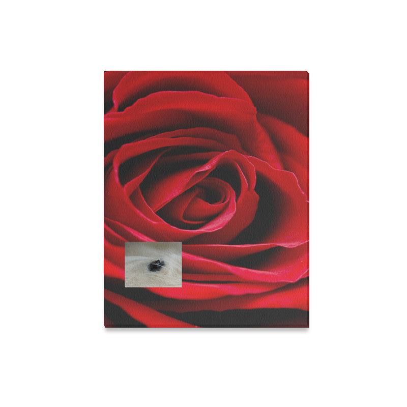 Canva 20"x16"