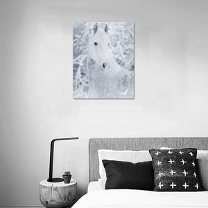 Wydruk na płótnie 16" x 20"