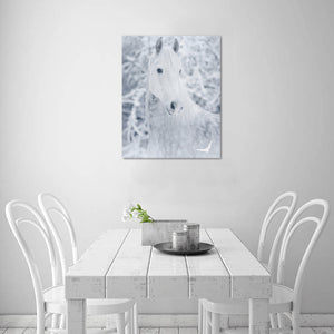 Wydruk na płótnie 16" x 20"