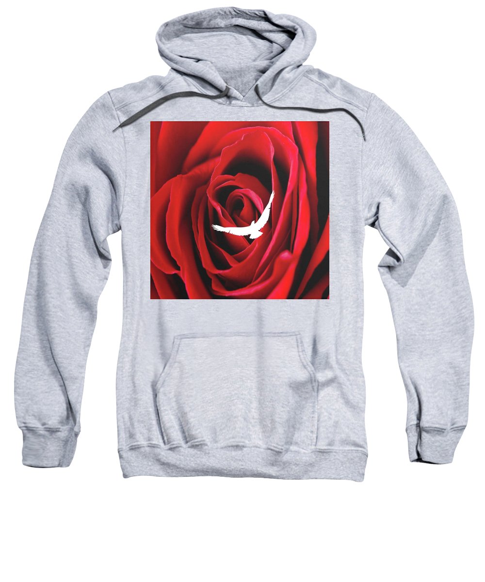 Lataj wyżej - Bluza