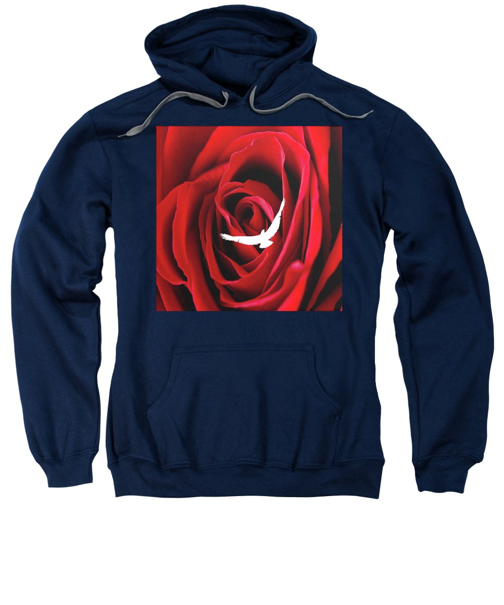 Lataj wyżej - Bluza