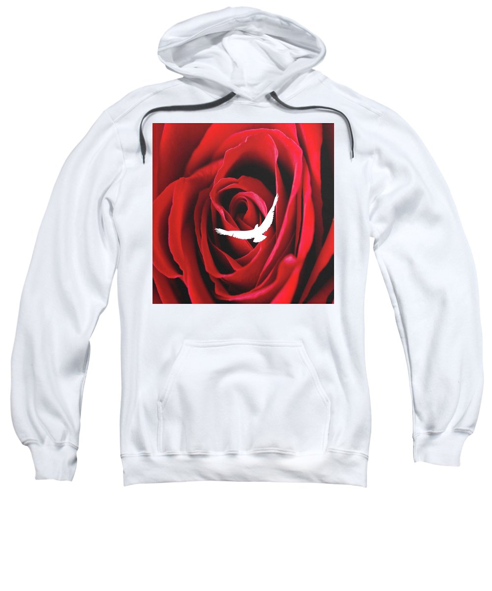 Lataj wyżej - Bluza